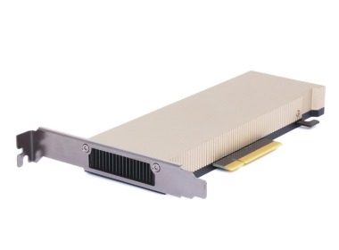 Carte graphique Nvidia Ampere A2 Tensor 16GB GDDR6 PCIe 4.0x8 HHHL 60W 128bit MG5JX